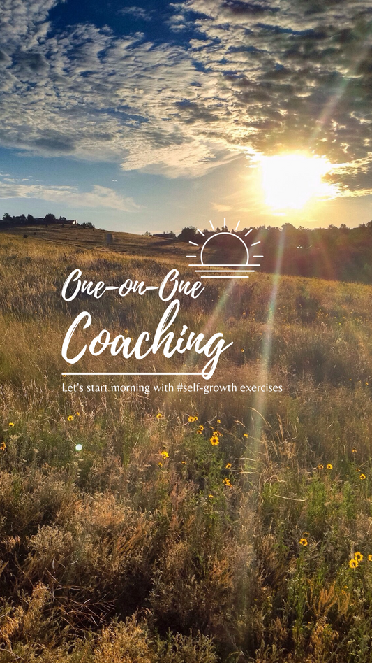 One-on-One Personal Development Coaching