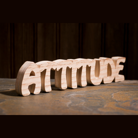 Your Attitude is the Game Changer!